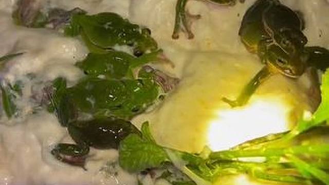 泡沫派对 #野外户外 #日常生活 #真实户外 #内容启发搜索