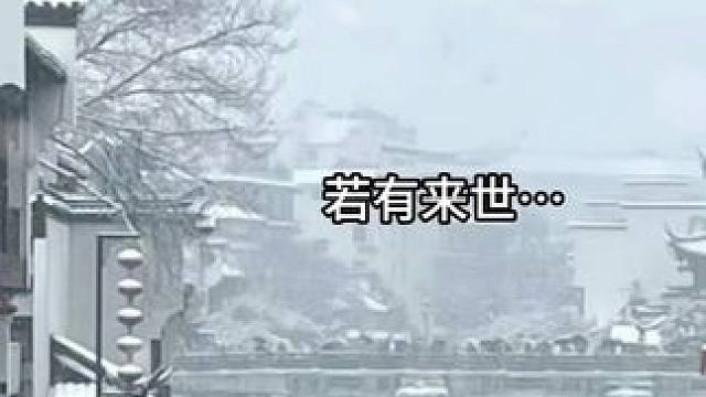 #和离 #广播剧 #小说 #凌飞 #刘校妤