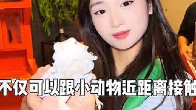 赶紧抢！19.9一个拉布布！#遛娃好去处 #发现宝藏小城 #湘菜拌饭有多好吃 #老友惠生活 #周二火