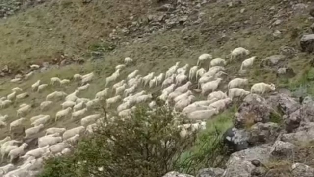 记录养殖人的真实生活