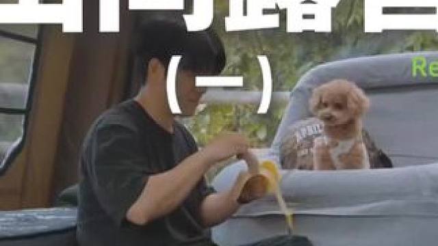 山间露营（一）露营就是自己带着别墅到处跑，哪里顺眼住哪里~#露营 #助眠 #解压 #萌宠 #户外露营