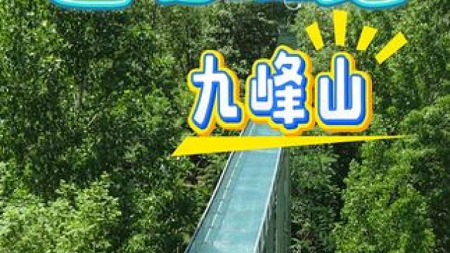 清凉一夏 九峰山
#夏天 #玩水 #养在九峰山