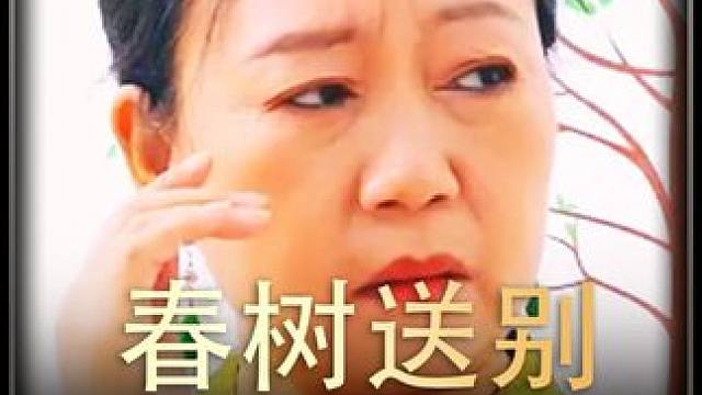 #春树送别 #热播剧