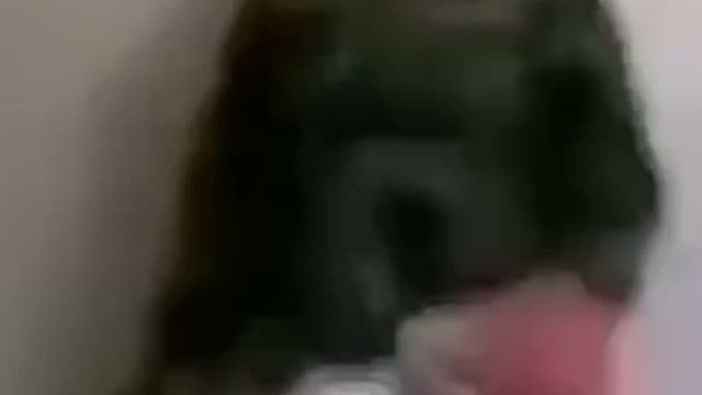 转载  据说这是一条暗网传出来的视频