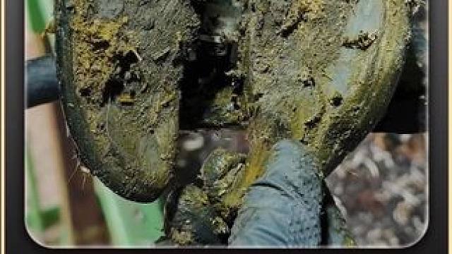 疼，真的很疼，牛牛痛的脚乱蹬 #解压 #助眠 #修牛蹄 #强迫症 #极度舒适