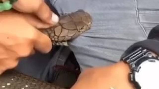 老外会玩系列！ #异环 #冬虫夏草长什么样 #永劫无间手游 #老外真会玩