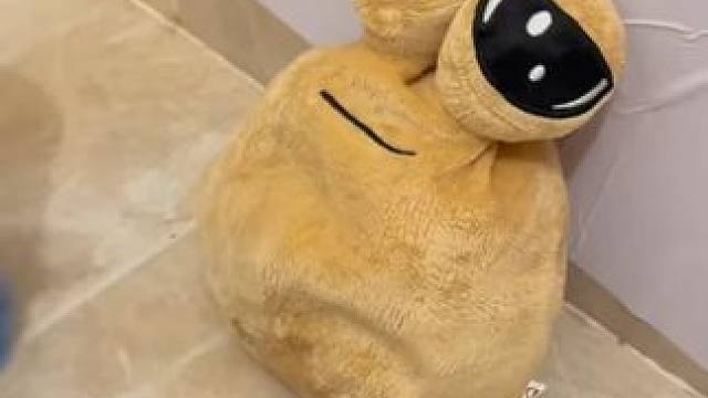 多喝水没事，没事多喝水~ #闹心球 #毛绒玩具