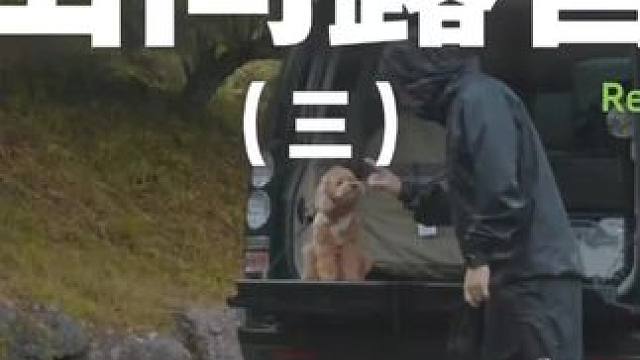 山间露营（三）露营就是自己带着别墅到处跑，哪里顺眼住哪里~#露营 #助眠 #解压 #萌宠 #户外露营