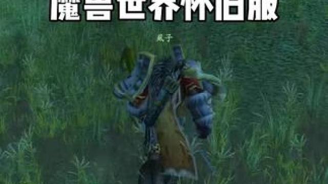 消失挡致盲 魔兽世界怀旧服 猎人PVP攻略 #魔兽世界巫妖王终章版本上线 #魔兽世界怀旧服攻略 #魔