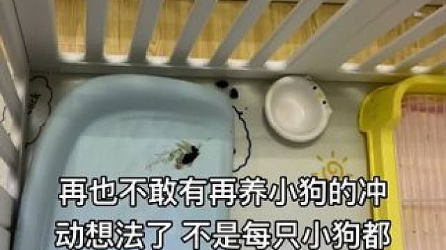 心里累累嘟 #宝妈 #宝妈带娃