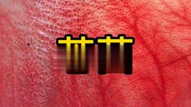 又来了 #血毛肚