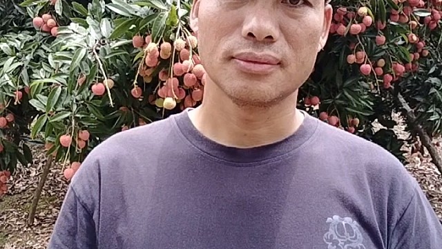 努力赚钱才是硬道理