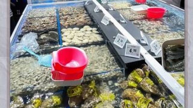 上城公馆这里新开的鲜悦风生活超市这么火吗？里面东西真的是物美 价廉#发现宝藏安阳 #鲜悦风生活超市 