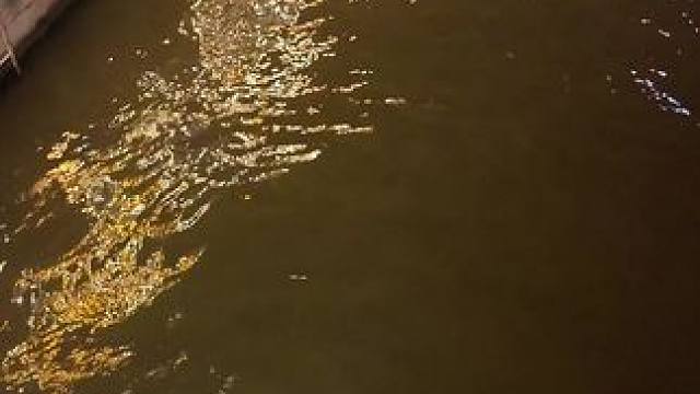 你的一句春不晚  我就到了真江南