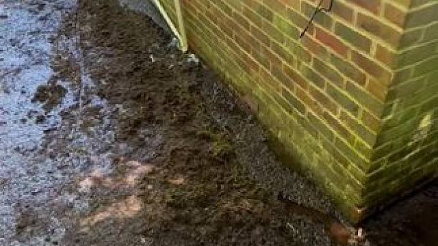 外房屋的雨季清洁工作 #小院清洁 #清洁 #解压 #解压视频 #深度清洁