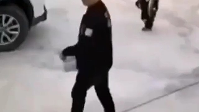 养这样的狗狗很值得赞