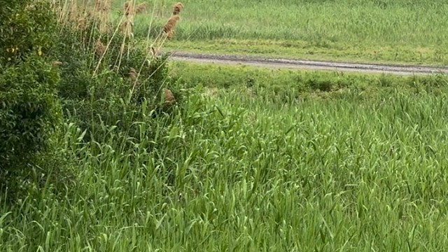 这车一定要会这样玩才有必要买