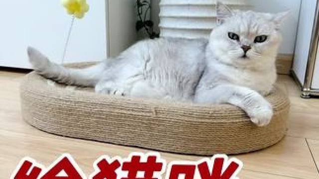 猫咪的日常好搭子，剑麻猫抓板#猫咪玩具 #猫抓板