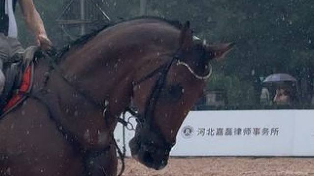 暴雨来袭，训练继续！这就是马术精神！