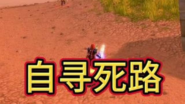 自寻死路 #魔兽世界巫妖王终章版本上线 #魔兽世界怀旧服 #魔兽世界pvp
