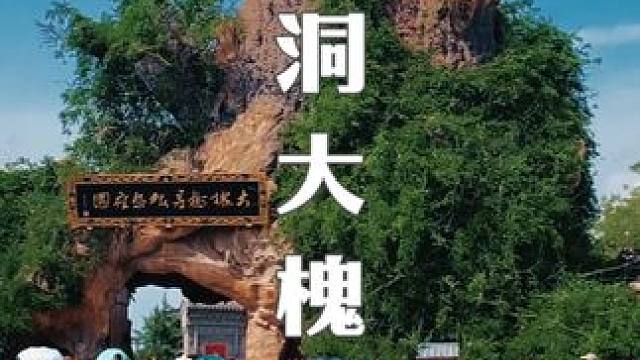 洪洞大槐树 “问我祖先在何处，山西洪洞大槐树”每年都有数百万计的后人来到大槐树下寻根问祖，大槐树也是