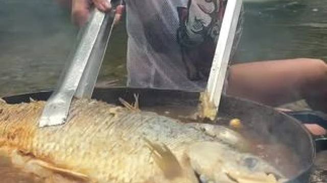 户外野餐 #我的乡村生活 #原创视频 #农村美食记录生活 #日常生活 #外国人真会玩