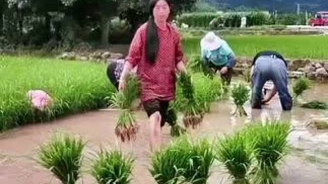 山卡卡里的农村大姐学费了开直播每天收获满满您还在恐播怕播不敢开播开播了不知说什么吗#记录真实生活 #