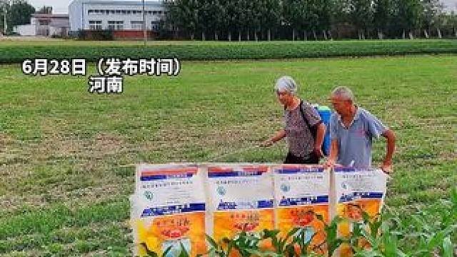 老两口打农药怕影响隔壁庄稼，自制遮挡布,网友：真是温馨又有爱
