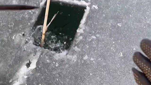 #户外捕鱼大队 #捕鱼河边随拍 #捕捞现场  #丝网捕鱼