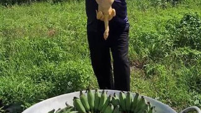 东南亚大叔户外野餐 #东南亚美食