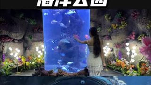 这是我在南昌7、8月花的超值的一笔！80多畅玩麻海洋公园 #极地冰川奇遇季 #南昌吃喝玩乐#南昌海洋