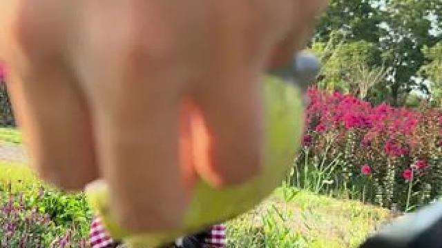 郑州在大夏天也有鲜花和小狗合影
话说狗是狗 边牧是边牧
每一只聪明的边博士拍照都超级轻松呀
#边牧 