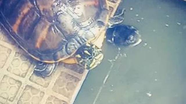 祝大家好运连连