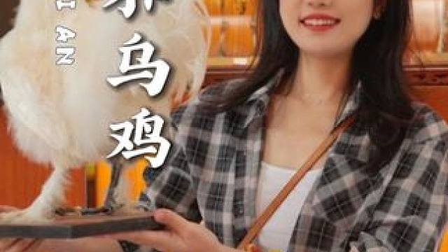 这是中国地理标志性产品泰和乌鸡。它的含金量几乎每个中国人都知道。我们 30 号直播间见。#泰和乌鸡 