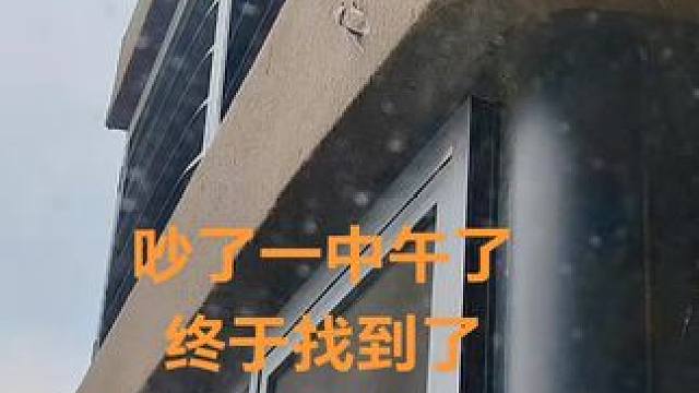 #原创视频 #惊不惊喜意不意外 ！
找了好久了