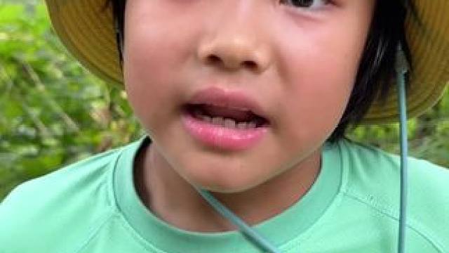 又是一条需要屏蔽老师的视频 #亲子活动#小物钓#周末去哪玩