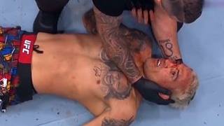 托普利亞直接KO奧利維拉 #UFC317