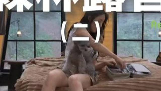 森林露营（二）#露营 #助眠 #解压 #萌宠 #户外露营