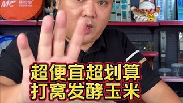 发酵打窝玉米 超便宜的打窝玉米，你去菜市场都买不到这么便宜的，钓翘嘴草鱼打窝超划算。#玉米窝料推荐 