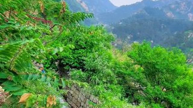 据说招龙在商讨小庙的所有权…… 招远方向也不让上山爬小庙了~好不容易到了东北冲村东头，还是上不了小庙