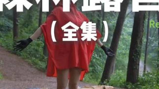 森林露营（全集）#露营 #助眠 #解压 #萌宠 #户外露营