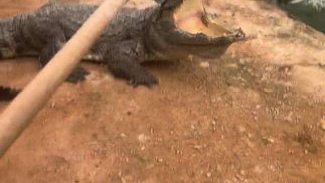 左手同样打的邦邦响#非专业人士请勿模仿