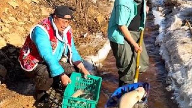 #三农 #捕鱼的快乐