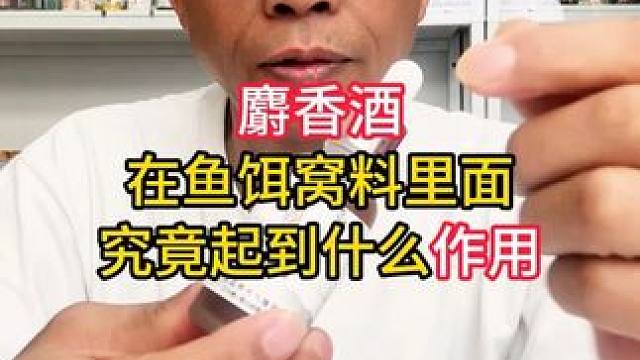 麝香酒在鱼饵窝料里面究竟起到什么作用？一个视频讲清楚 麝香酒在鱼饵窝料里面究竟起到什么作用？一个视频