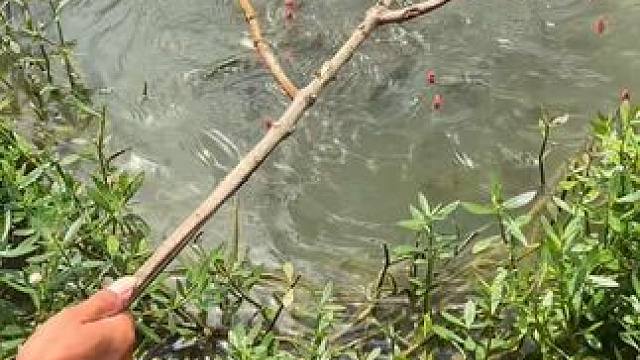 打串钩了！#钓鱼人#钓鱼的乐趣只有钓鱼人懂 #钓鱼人就是这么疯狂