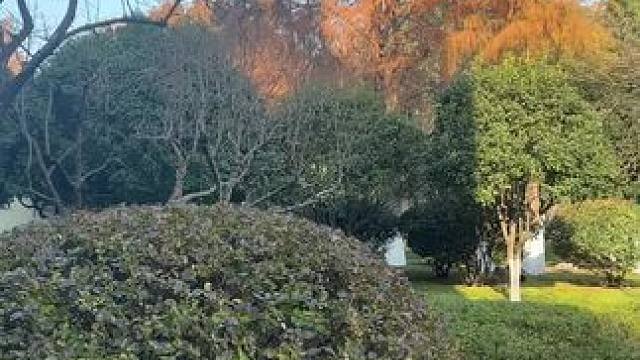 灵个！到位个！