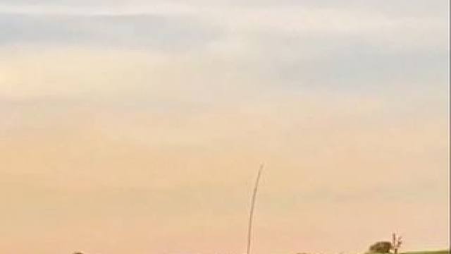 科普亚马逊雨林巨型森蚺，满满的压迫感 #爱护大自然保护野生动物 #野生动物 #野生动物零距离