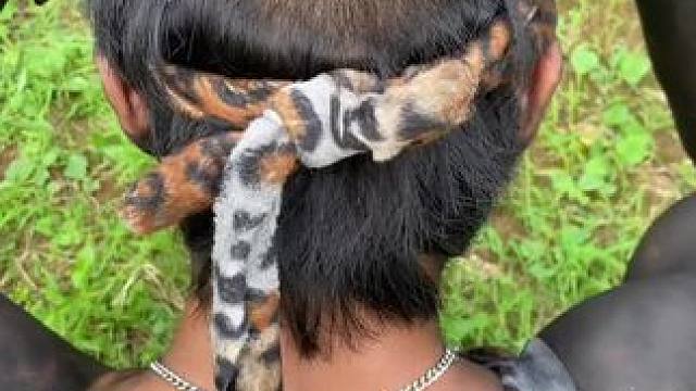 非洲嘟嘟 #原创视频 #日常生活#动物凶猛  #爱护大自然保护野生动物 #野生动物