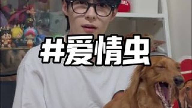 关于最近韩国泛滥的爱情虫 看演唱会的两天真的太多虫啦!大家这两天来的话少穿浅色衣服#vlog #金硕