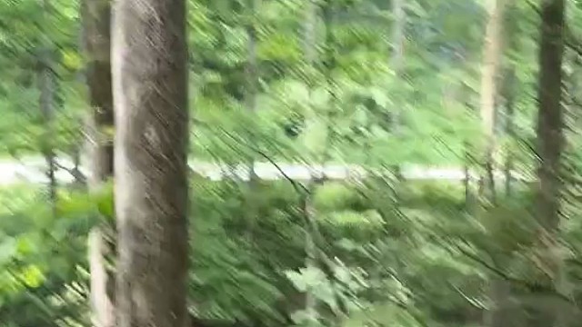 Daily Drift!️漂到底｜看仔细